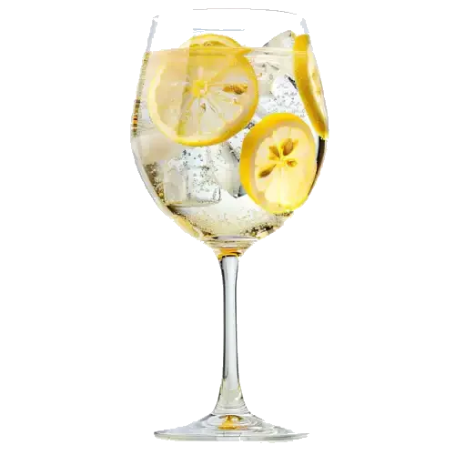 MARTINI TONIC